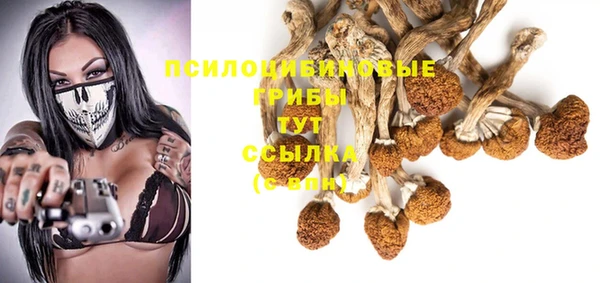 гидропоника Алексеевка