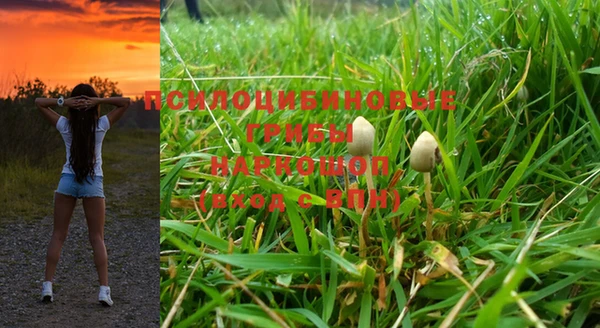 марки lsd Алзамай