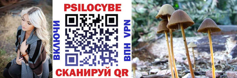 Псилоцибиновые грибы мицелий  Ардон 
